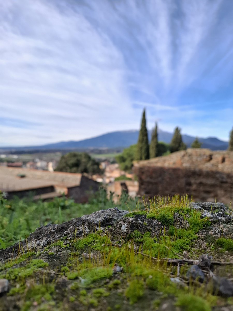 adria_compte's tweet photo. Vistes des de la Fortalesa d'#Hostalric 🌱🏛 https://t.co/JySkmK55yw