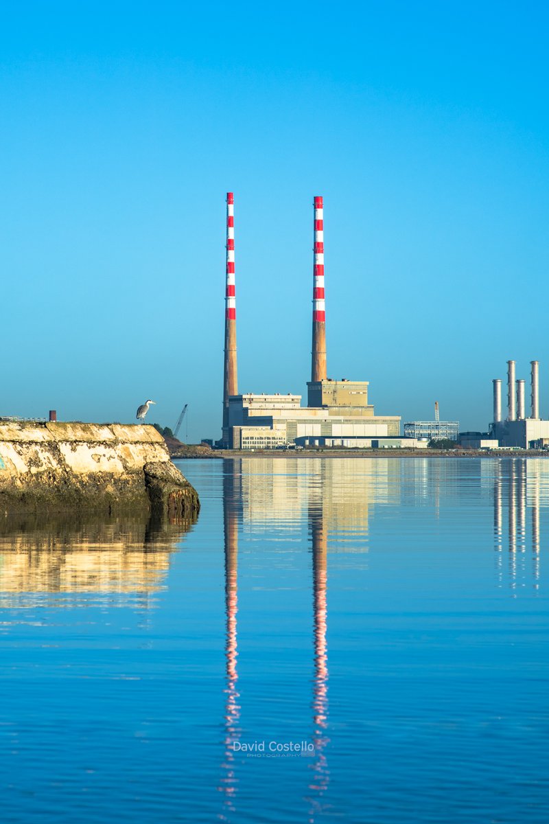 DavidCostelloDC's tweet photo. On days like these in Dublin, it helps to have bright pictures on the walls.
“The Watcher”
#PoolbegChimneys #Dublin #Sunshine #Crane #Sandymount
https://t.co/TdkUxToBpG https://t.co/81YlN0jHGv