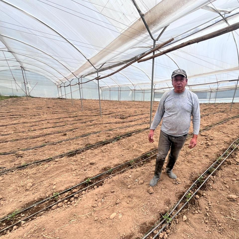 Agricultura_CZ6's tweet photo. #Azuay | Realizamos visitas de verificación para constatar el buen uso y el impacto positivo del Crédito 7x7 en el cantón #ElPan, un financiamiento que impulsa el desarrollo productivo y mejora la calidad de vida de los productores de #ElNuevoEcuador. https://t.co/KrBNWrO5cl