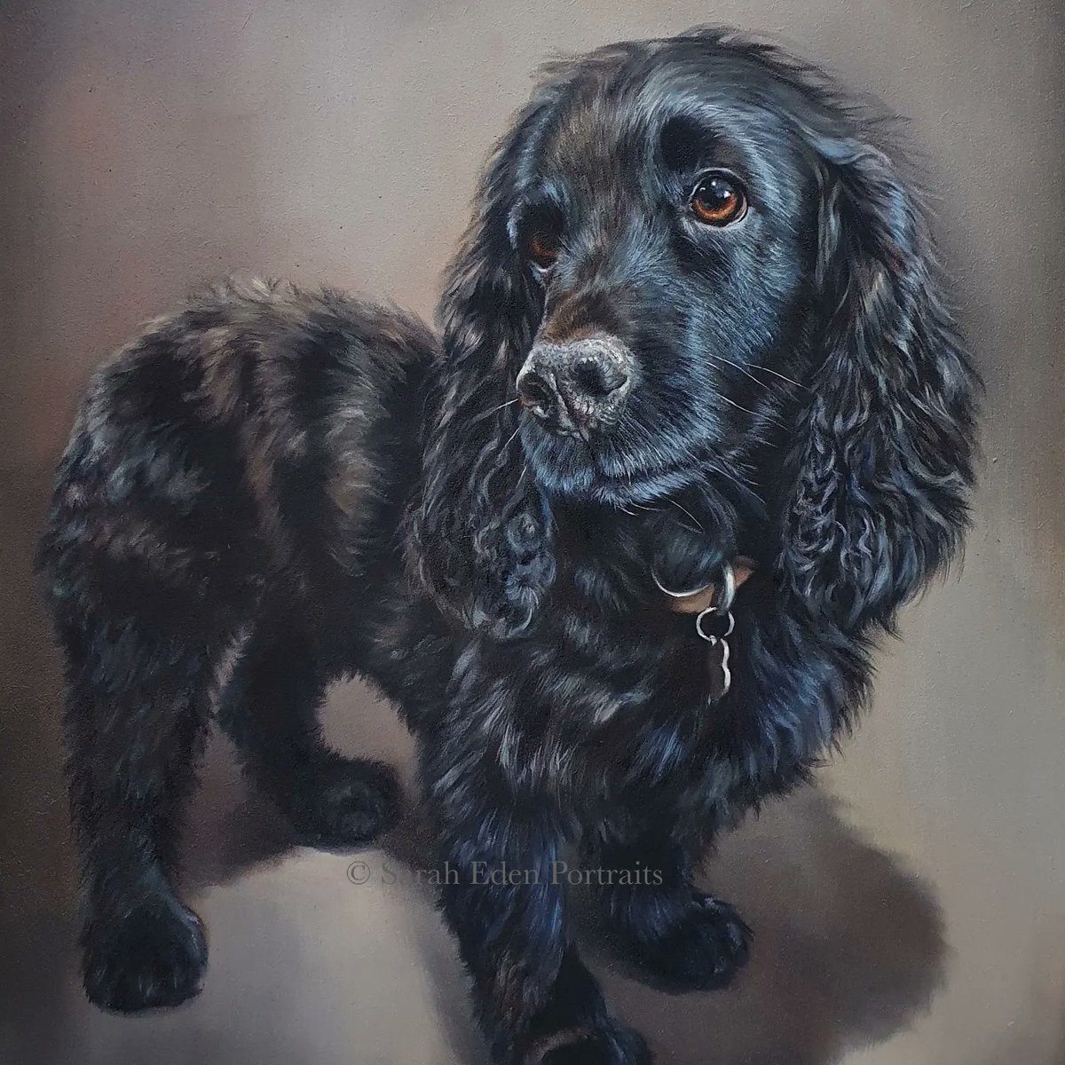 EdenPortraits's tweet photo. A real throwback from the archives..... the lovely Bertie. Looking back on my art journey is really interesting, and I have to say, I'm kinda proud 😊
#cockerspanielssofinstagram #cockerspaniels #cockerspanieluk #oilpainting #oilportrait https://t.co/A2tbPxuoVP