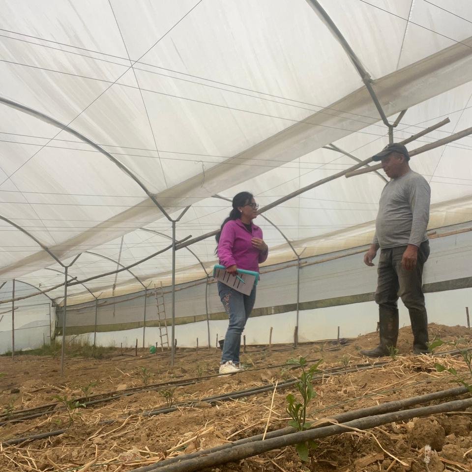 Agricultura_CZ6's tweet photo. #Azuay | Realizamos visitas de verificación para constatar el buen uso y el impacto positivo del Crédito 7x7 en el cantón #ElPan, un financiamiento que impulsa el desarrollo productivo y mejora la calidad de vida de los productores de #ElNuevoEcuador. https://t.co/KrBNWrO5cl