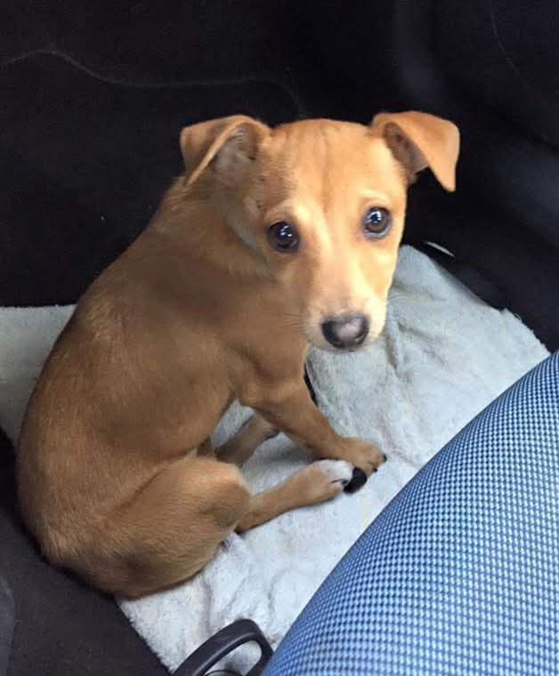 Grotakrout tweet media