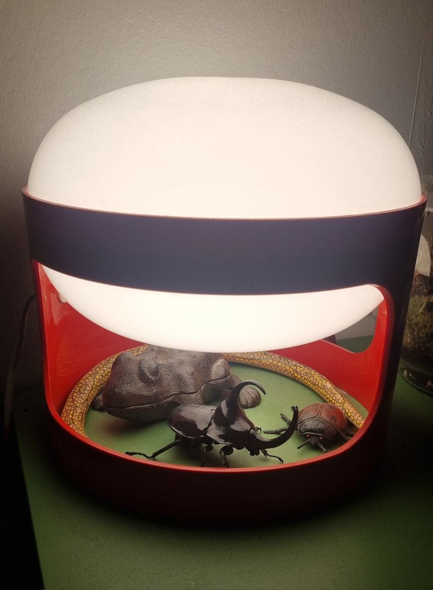 Piffi 🛴 (@piffiboy) on Twitter photo 