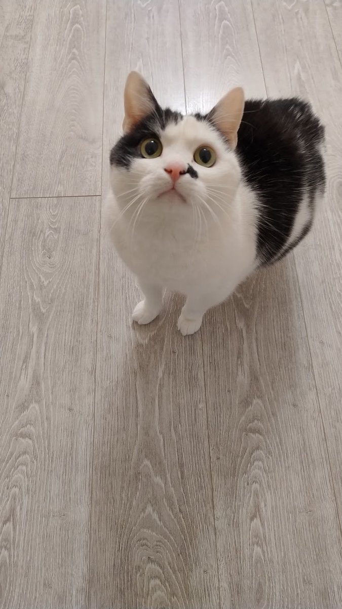 ПідйомПеревертень tweet media