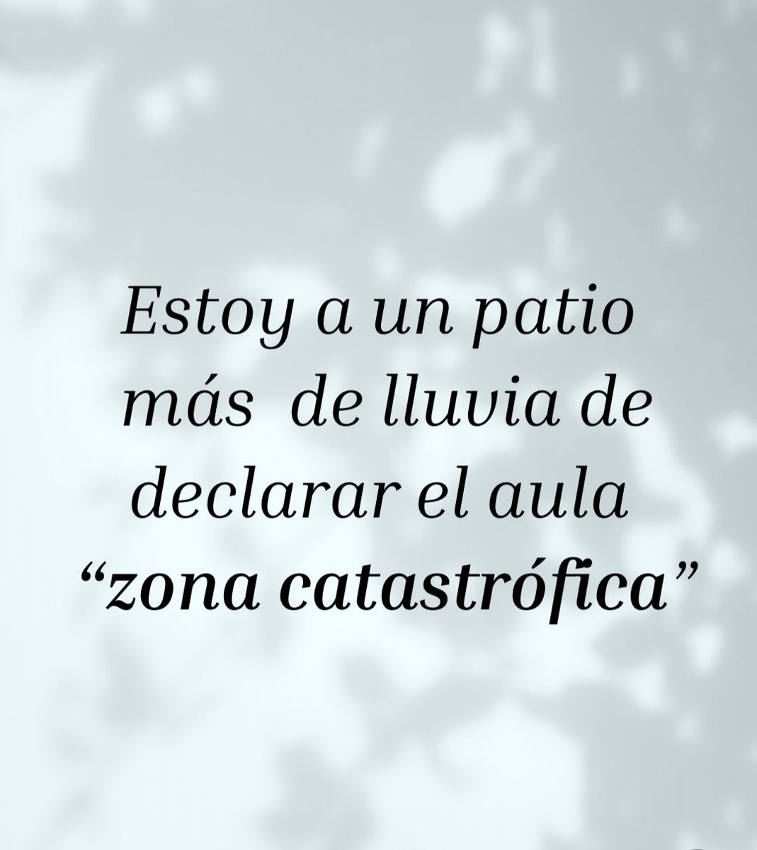 Katia 🧙🐍 tweet media