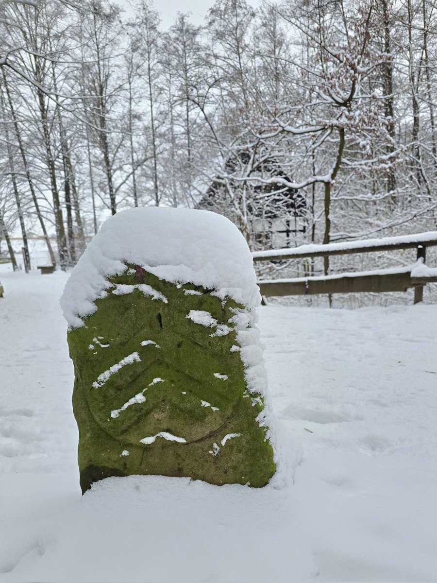 peter_murmann's tweet image. Schneegrenze...