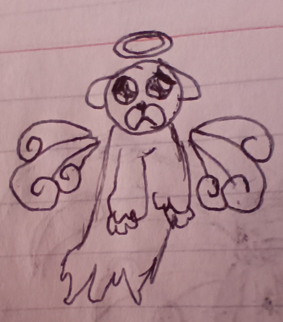 Lo que dibujaba en 2023...