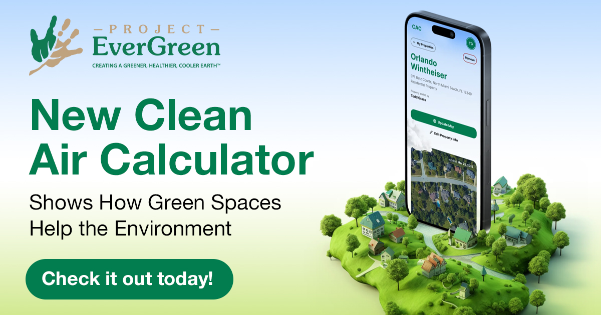 Project EverGreen tweet media