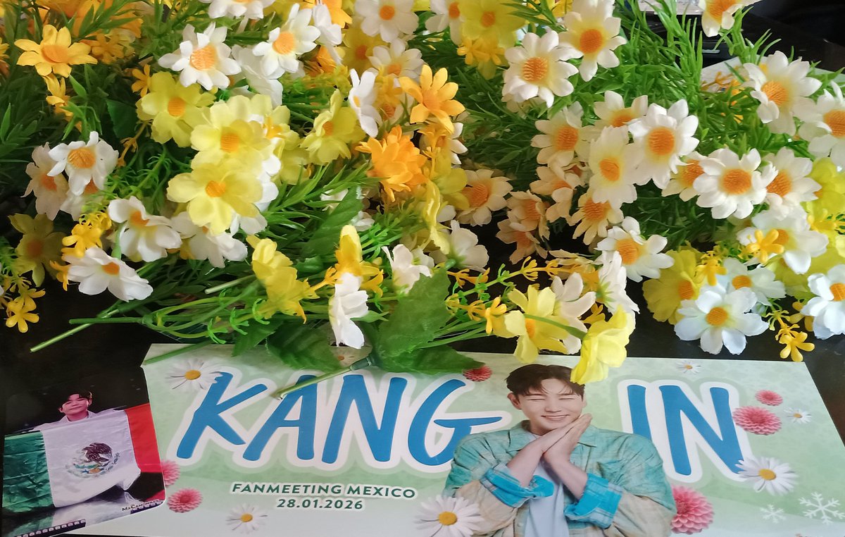 Unión ELF México tweet media