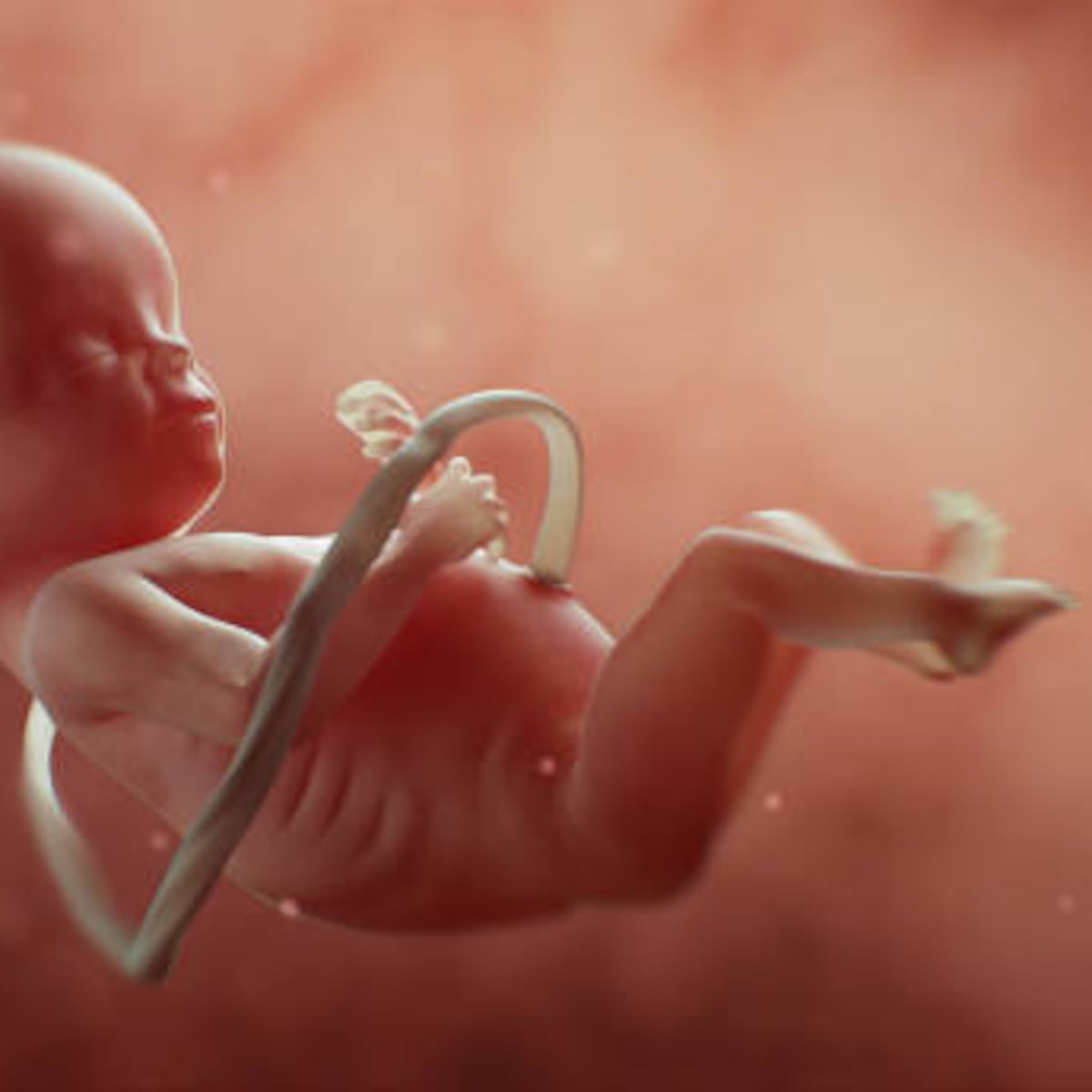 El zurdo, no lo M4T3S // El zurdo, M4T4L0