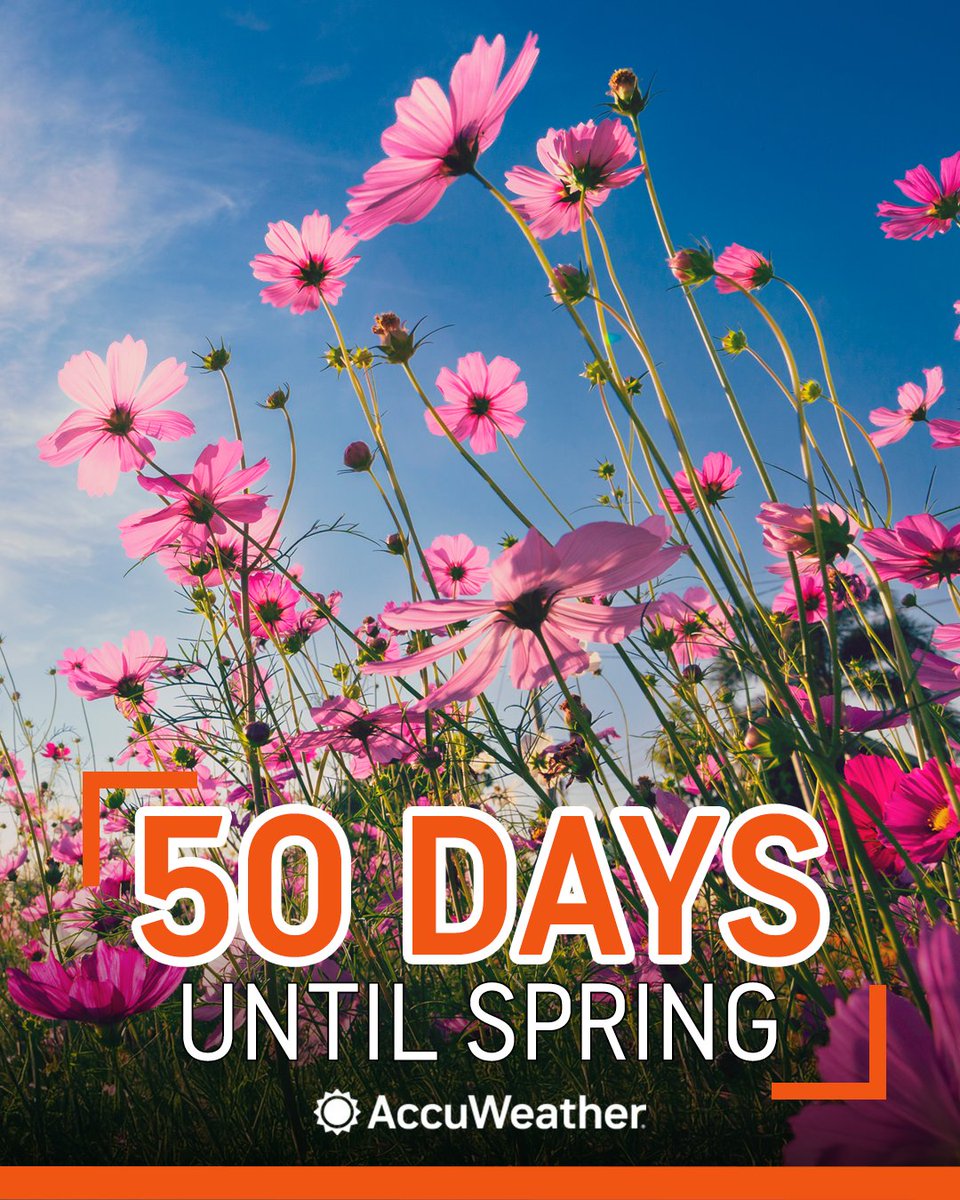 A little reminder that spring is creeping closer 🌷