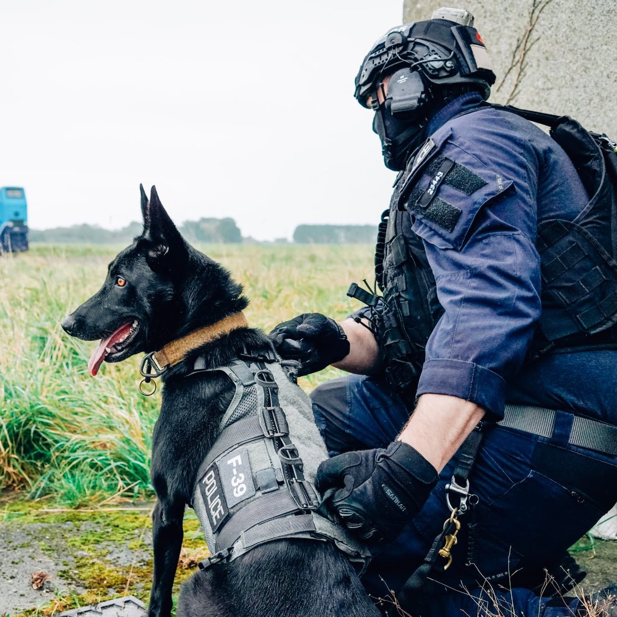 ThinBluePaw's tweet photo. Retired Police Dog Izzy proudly served with the Police Service of Northern Ireland as a Counter Terrorist Specialist Firearms Dog until her retirement in September 2025.

Recently, Izzy has been a little under the weather and has required ongoing veterinary investigations due to internal bleeding.

Thanks to your generosity, we have been able to cover the full cost of Izzy’s veterinary treatment, helping to ensure a speedy recovery and a long, happy retirement with her handler.

Izzy is a nine-year-old Belgian Shepherd, bred in Holland. She was purchased by the PSNI and partnered with a CTSFO handler, completing her conflict management dog training in 2018.

After more than 100 deployments alongside her firearms family, Izzy retired in September 2025 to live with her handler. 

Get well soon, Izzy 💙🐶🚔