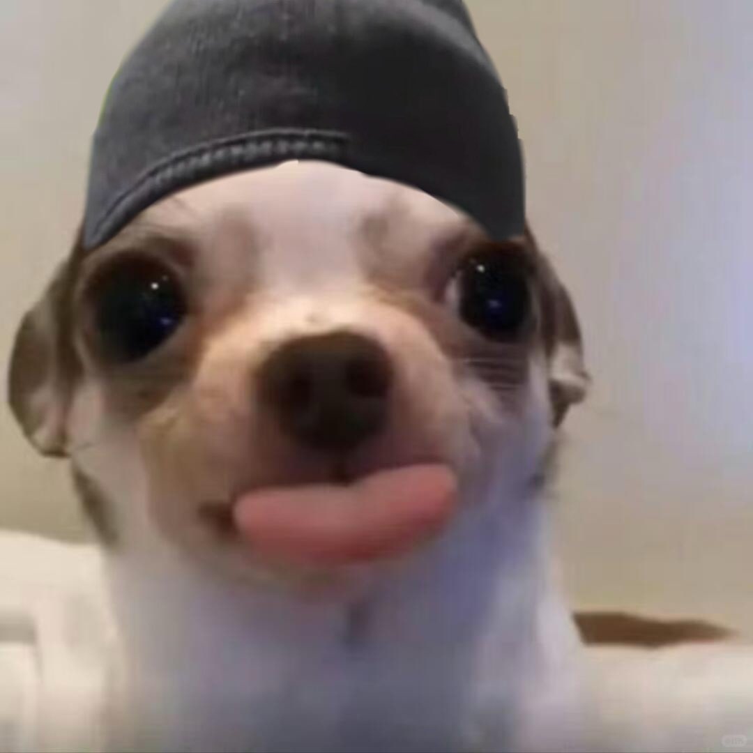 D_214_S2's tweet image. 바보 :P