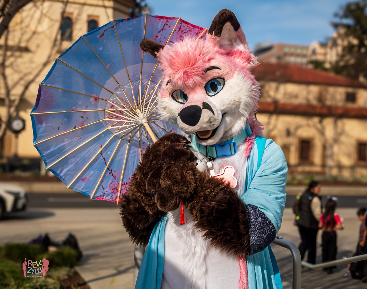 Revy~ 🔜LVFC '26 tweet media