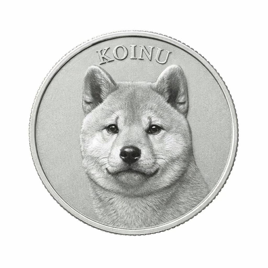 ethicaldev420's tweet image. Koinu sounds like coin but means "puppy" in japanese! wordhippo.com/what-is/the-me…