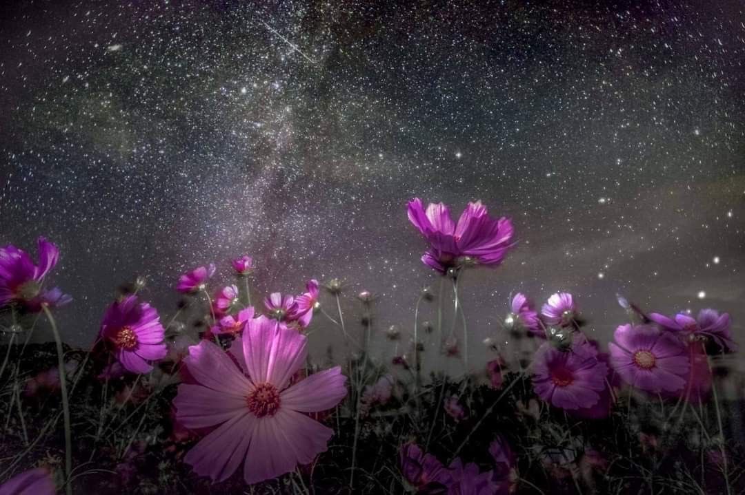 1leio's tweet image. 