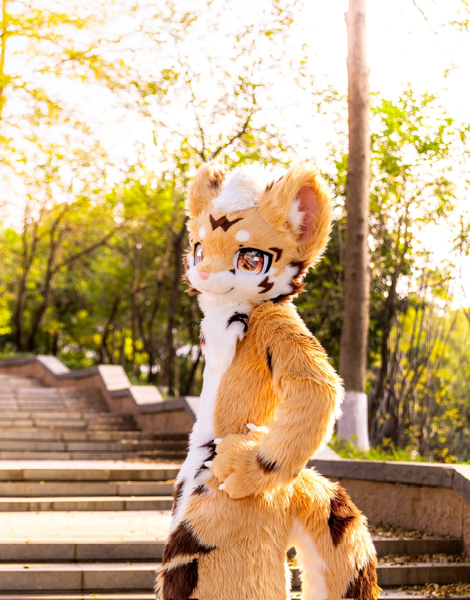 小罗星 tweet media