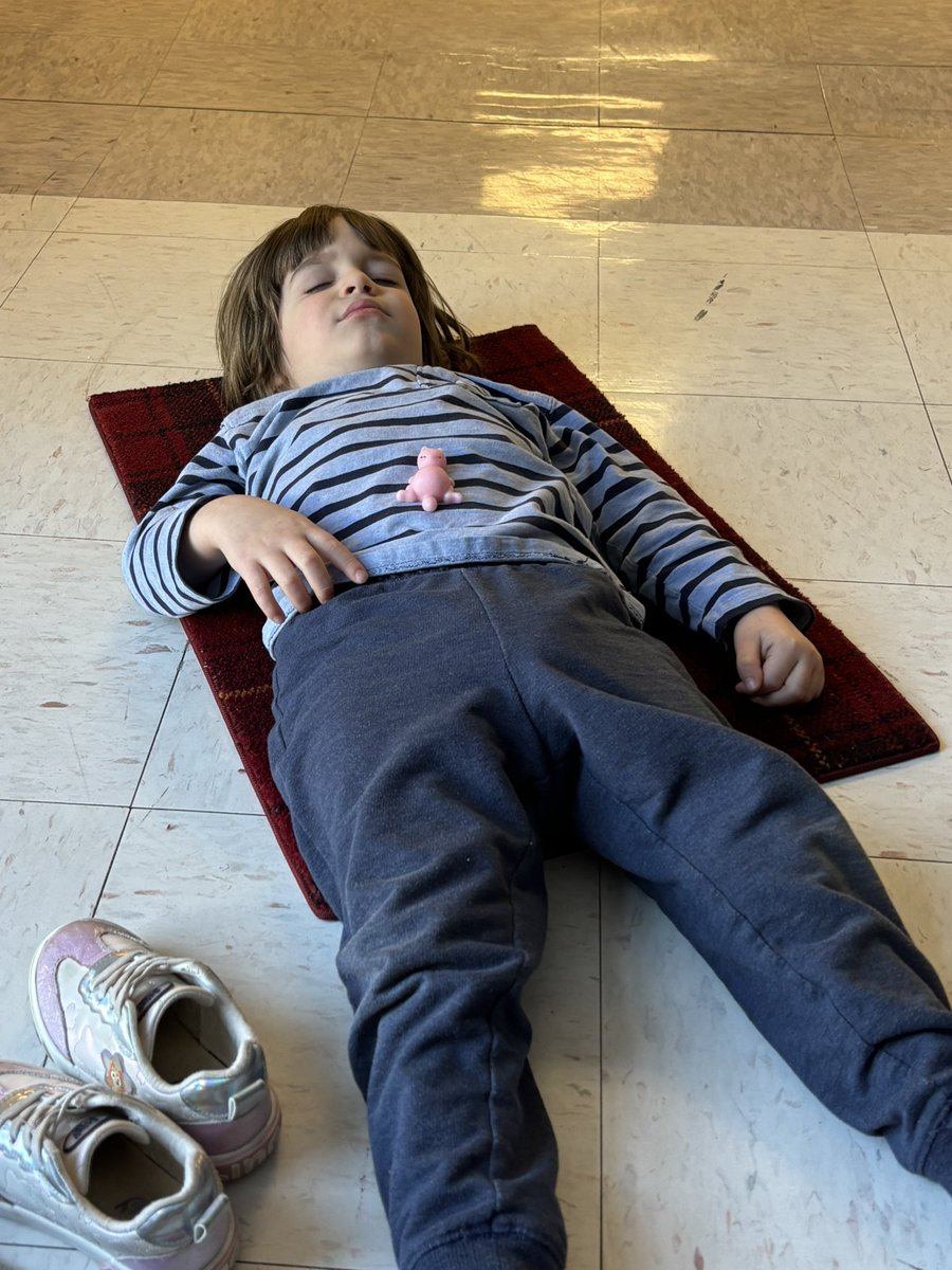 Brenda Pfau tweet media