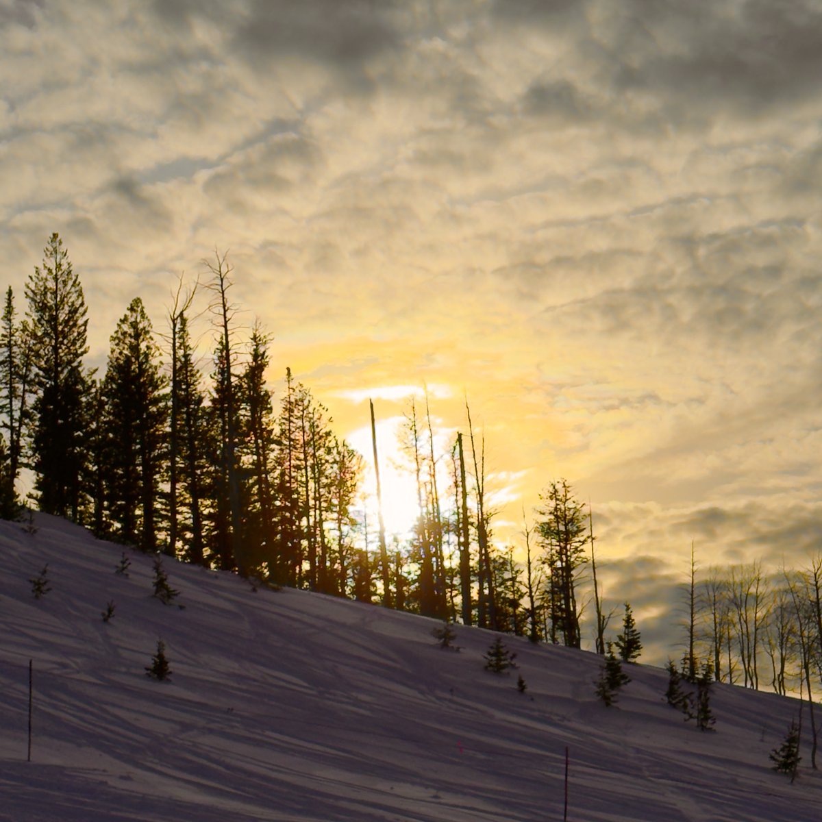 skithebeav's tweet photo. End of day Beaver Mtn scenes. When the day ends up here, the silence of the Rocky Mountains sets in and its so very peaceful up here. #skithebeav #mountains #serenity #peace #solace https://t.co/gSvA5Da8J1