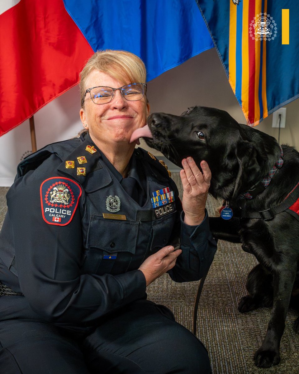 Chief Katie McLellan tweet media