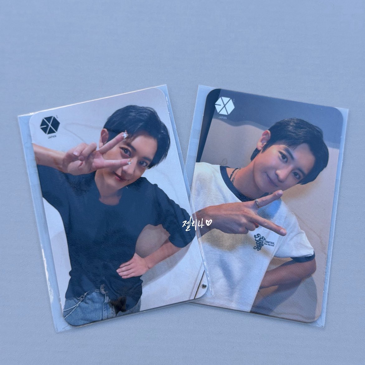 젤리나 tweet media