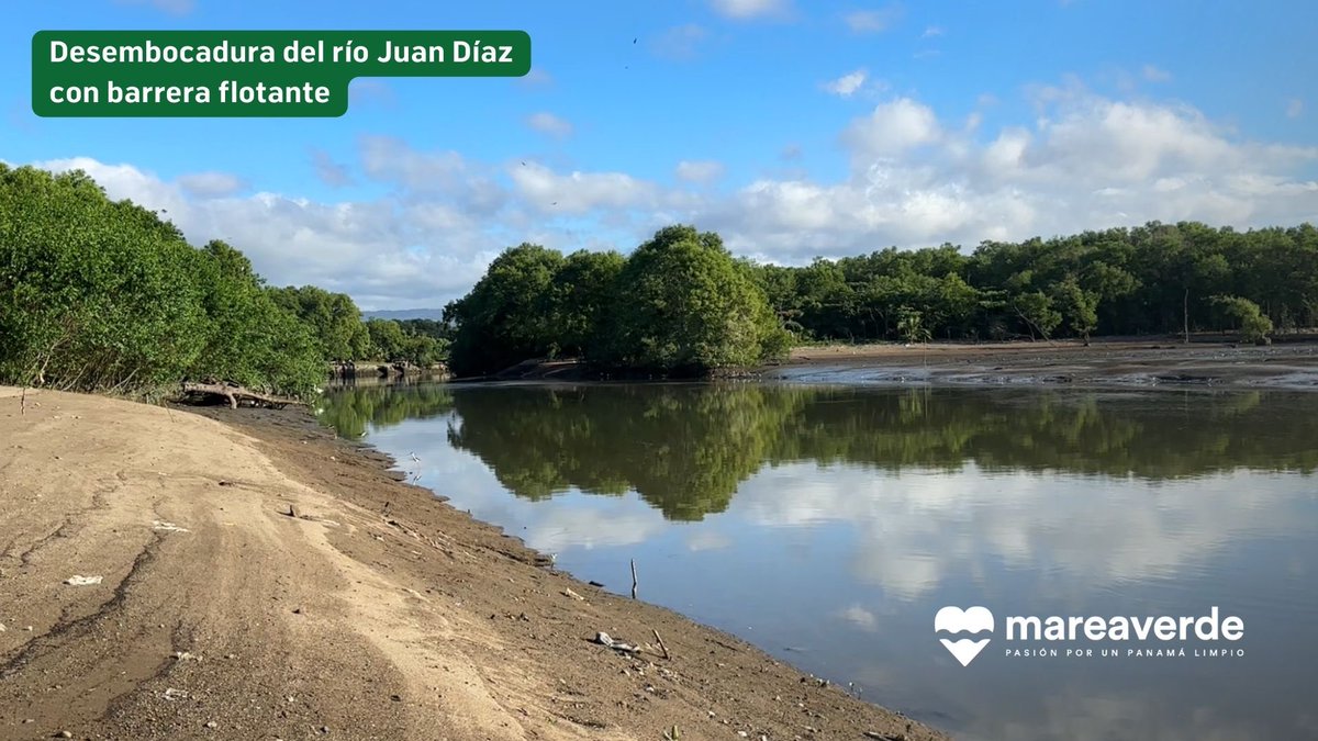 Nos estamos acostumbrando a ver nuestras costas llenas de desechos, cuando la realidad - natural - es que solo debería haber arena y vida. 🏝️ 

Esta es la comparación: un río sin protección y uno se ha protegido por tres años con Bob y Wanda. 

#Panama
