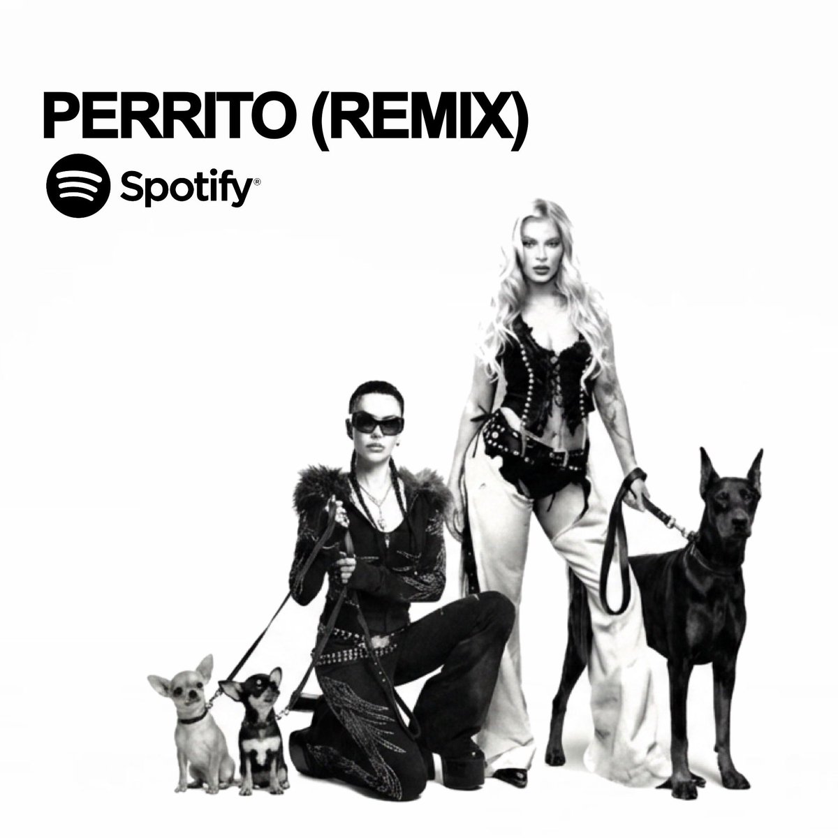“PERRITO (REMIX)” de Niki Draguns junto a Iker Silva ya está disponible en todas las plataformas digitales
