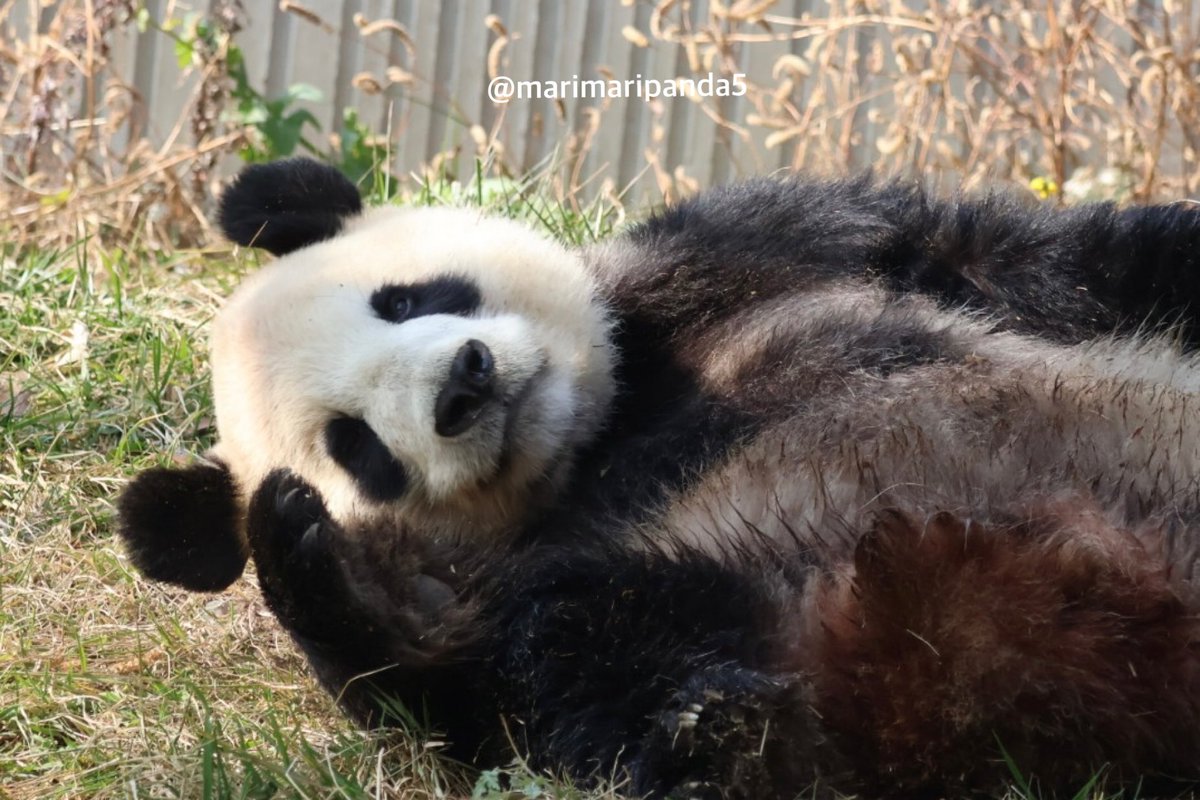 マミ (@0147mami) / Posts / X