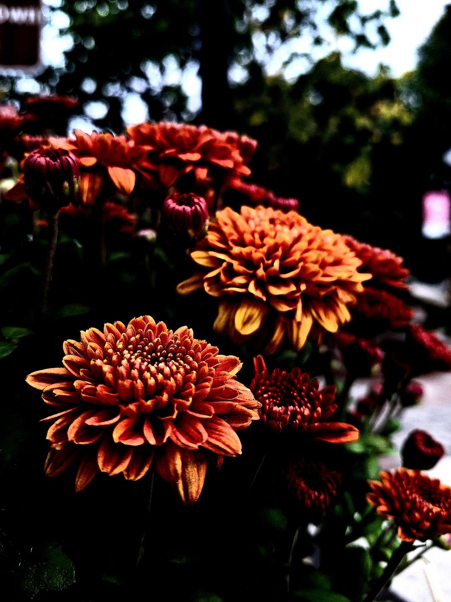 CLOUDEFFX tweet media