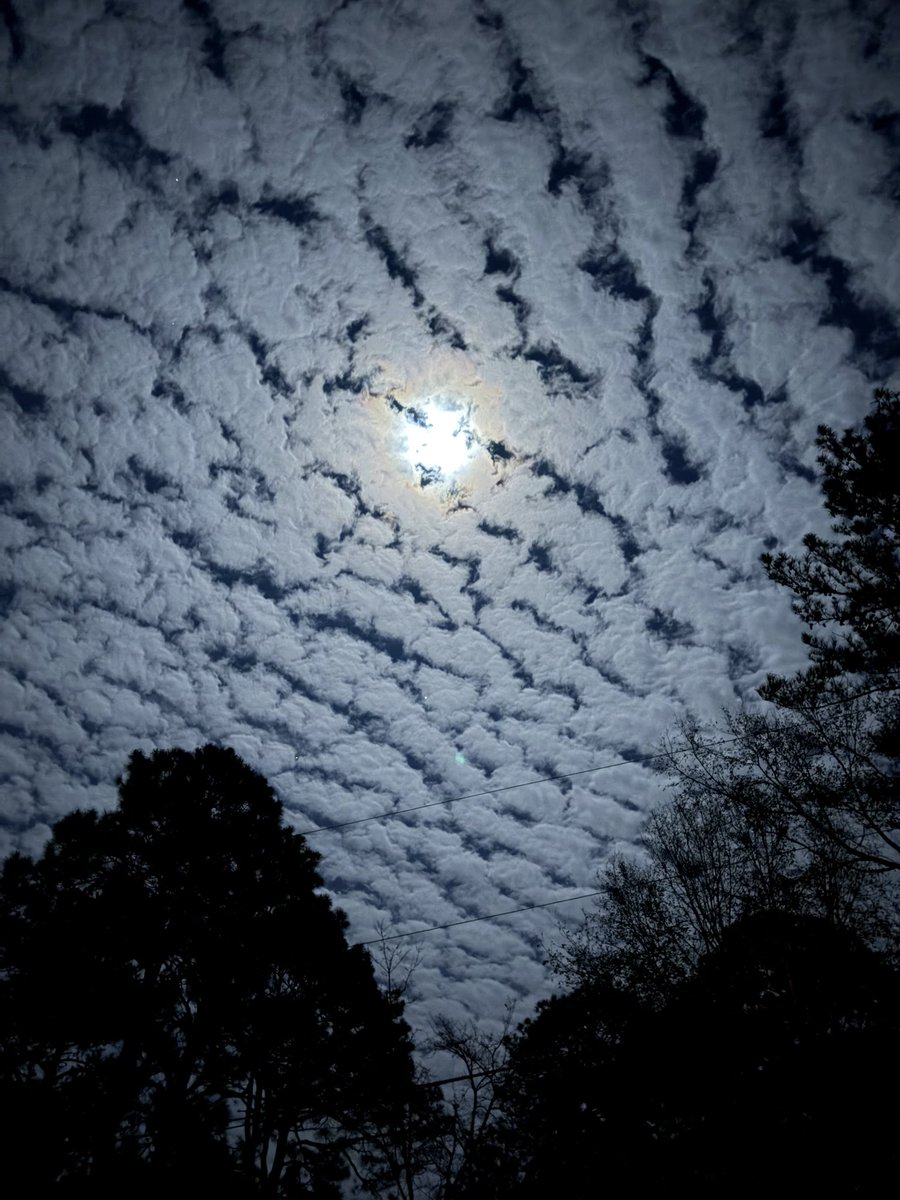 Jae Duncan tweet media