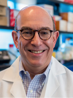 A recent <a href="/PNASNews/">PNASNews</a> study by Dr. Myles Brown and colleagues shows that AR pathway inhibition impairs response to PARP inhibitors through a cell cycle–dependent mechanism in castration-sensitive #prostate cancer.

🔓 Read the full article: bit.ly/4qd4Zwv