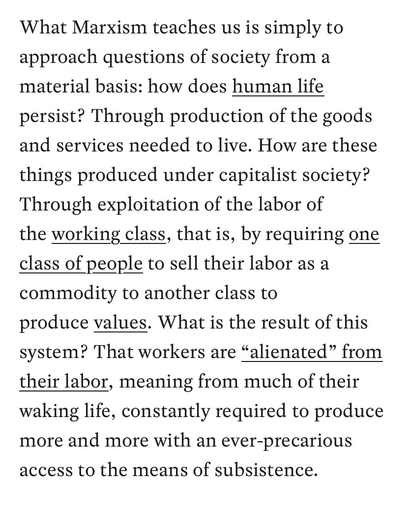 working class dude 🇵🇸 tweet media