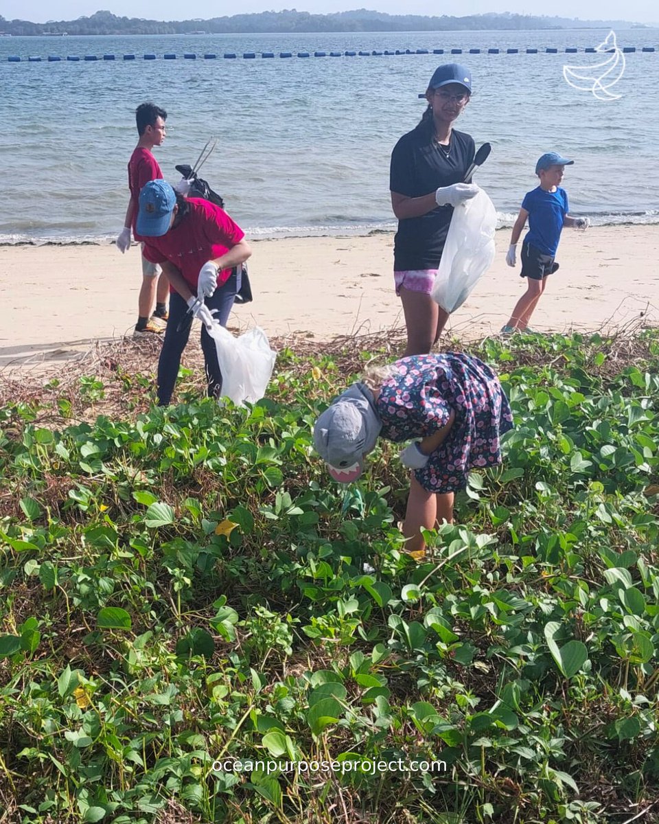 OceanPurposeProject tweet media