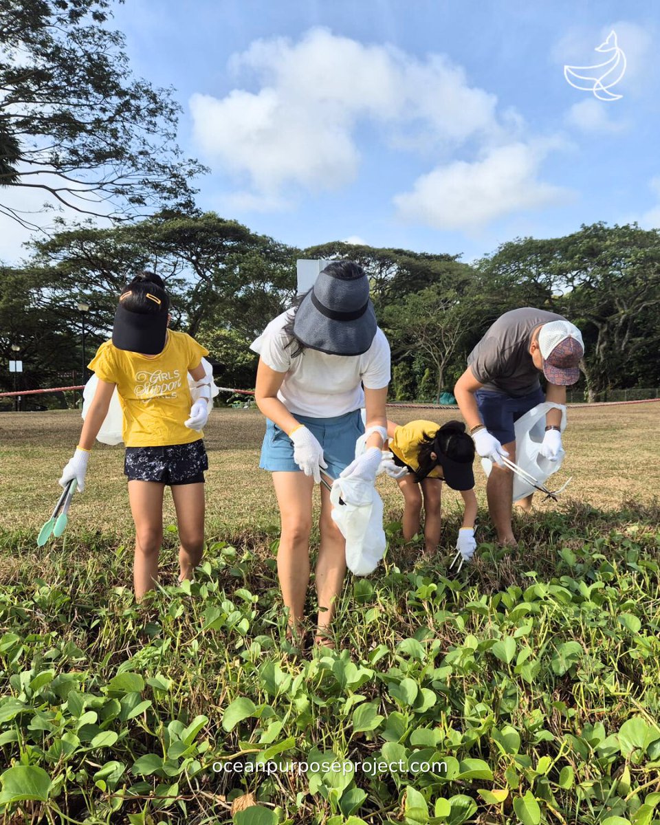 OceanPurposeProject tweet media