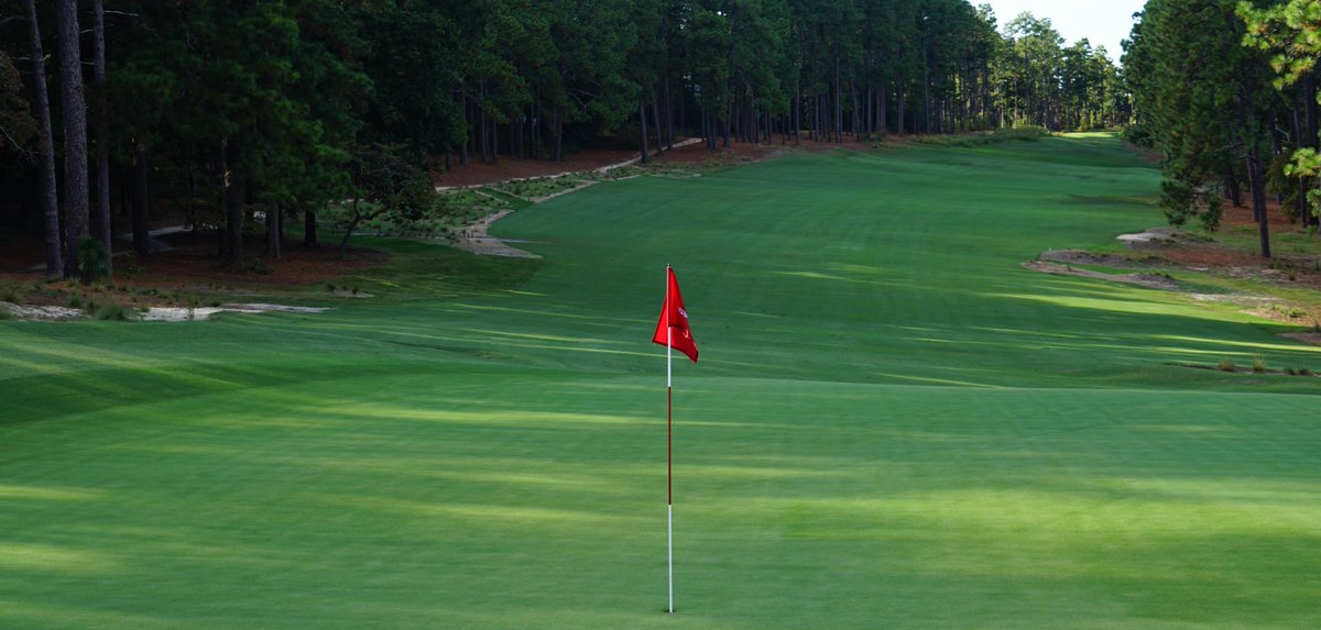 J. Liebert Golf Pics tweet media