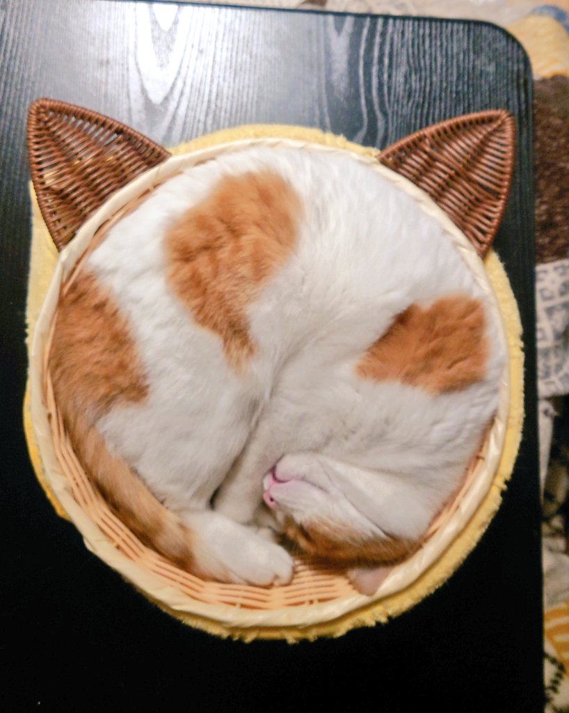 おちゃまる (@ochamarusan0126) / Posts / X