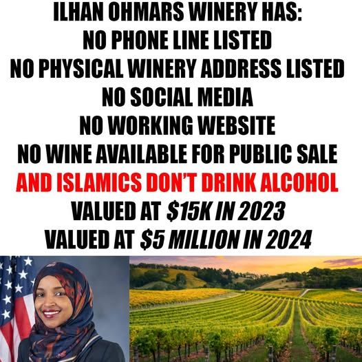 Ironhead_Andy's tweet photo. @IlhanMN  care to explain? @Ilhan https://t.co/DKQrGrV1Nq