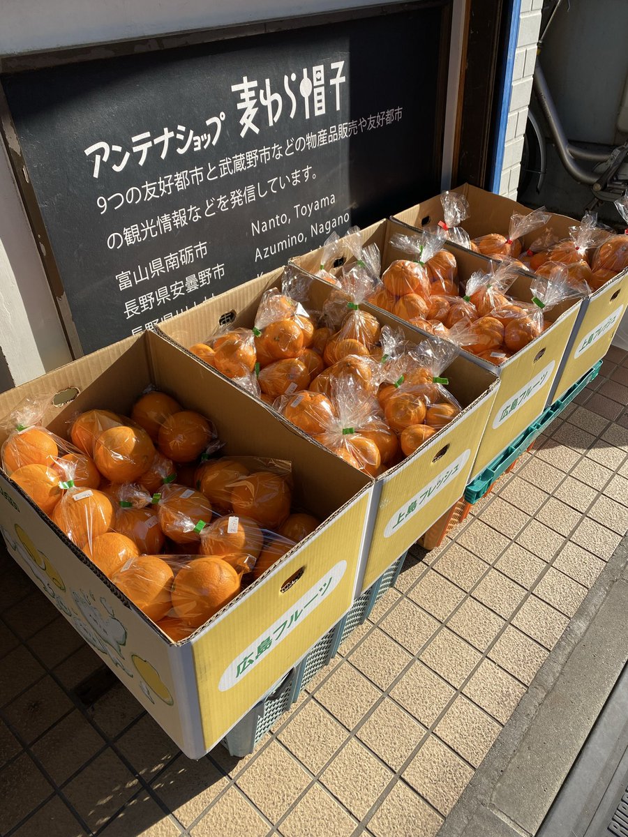 【柑橘シーズン🍊】
広島県大崎上島町【文田農園】より
麦わら帽子の柑橘シーズンが今年もスタートしました！

せとか・はるみ・ポンカン・ネーブル

大崎上島町の柑橘パラダイスをぜひお楽しみください！！
#広島県大崎上島町
#文田農園
#柑橘シーズン
#武蔵野市友好都市
#アンテナショップ麦わら帽子