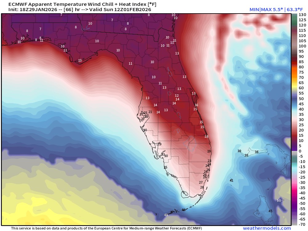 The NWS has issued an Extreme Cold Watch for most of Florida🌴🥶🧊

The combination of potentially record low temperatures and gusty winds Sunday AM will create dangerously low wind chills.

Single digits in panhandle, 10’s through central FL, and 20’s down to Miami!