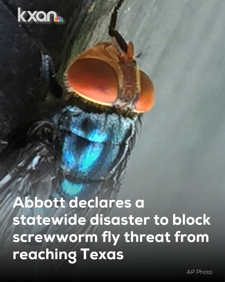 KXAN News tweet media