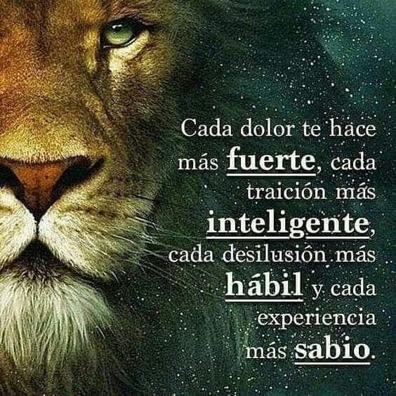 JorgeLuisRR1963's tweet image. TAL CUAL.