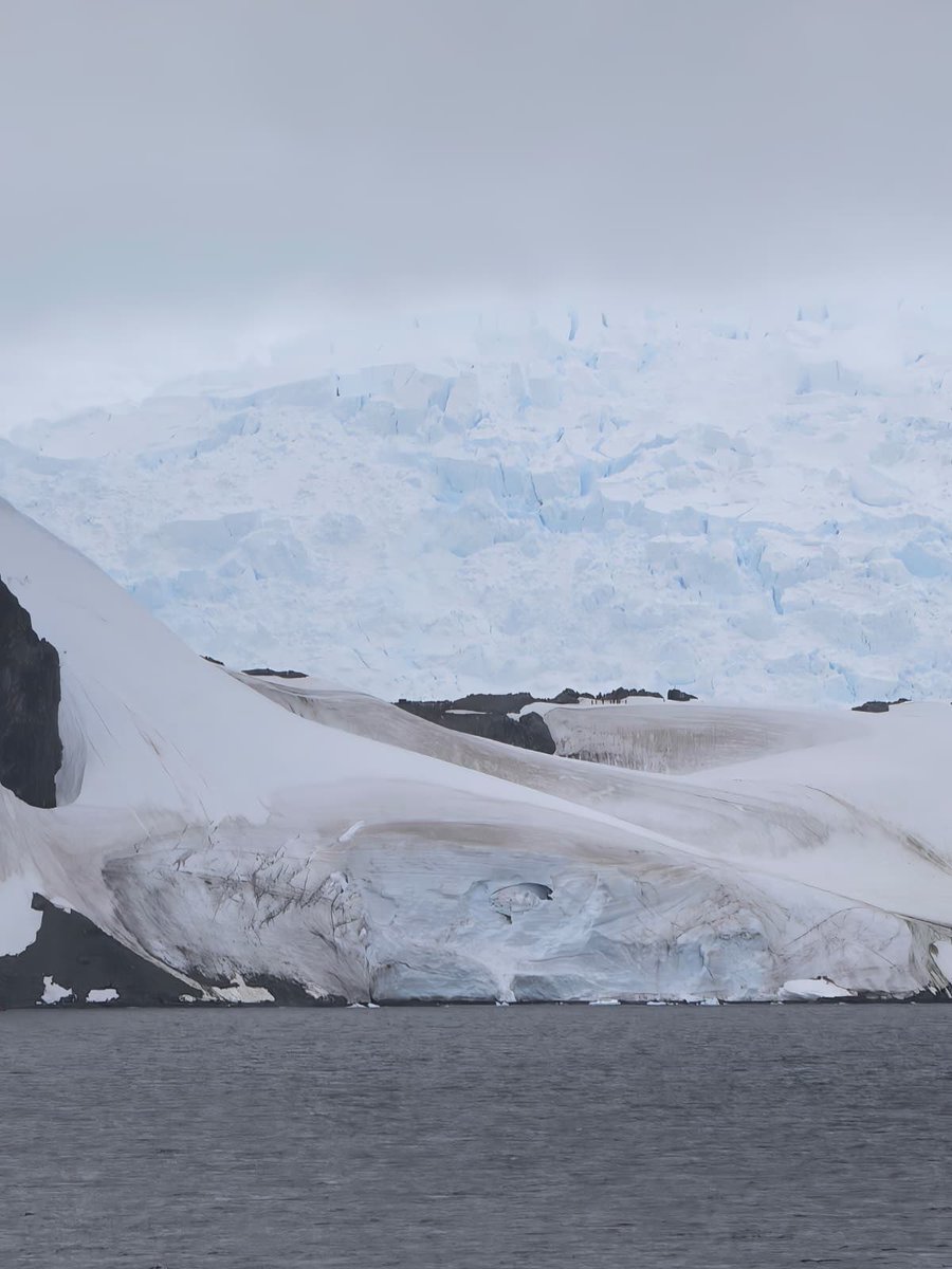 Esther Kuisch Laroche tweet media