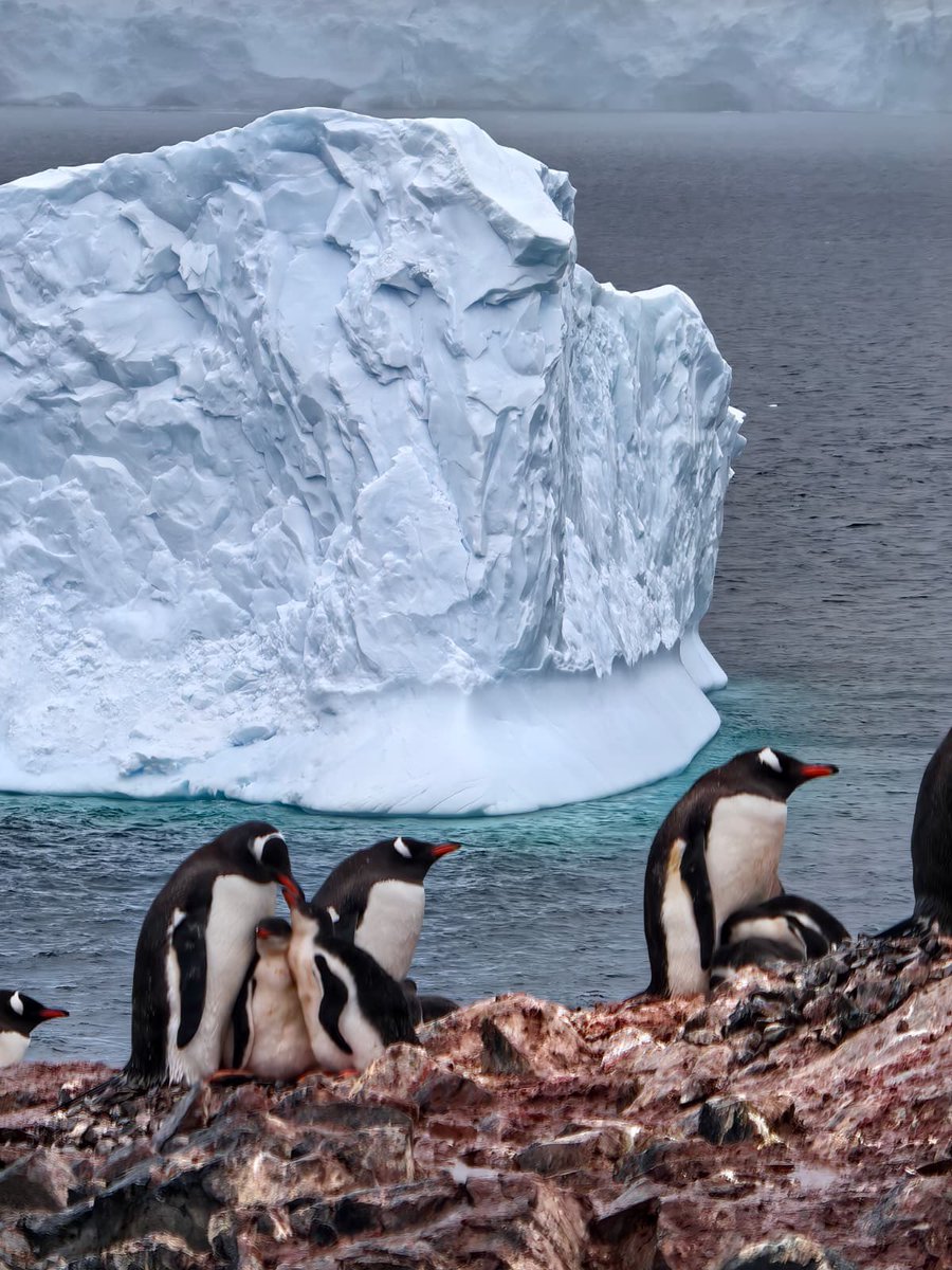 Esther Kuisch Laroche tweet media