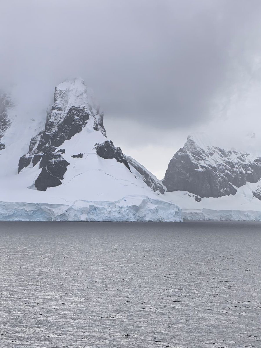 Esther Kuisch Laroche tweet media