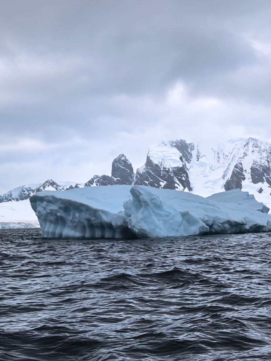 Esther Kuisch Laroche tweet media