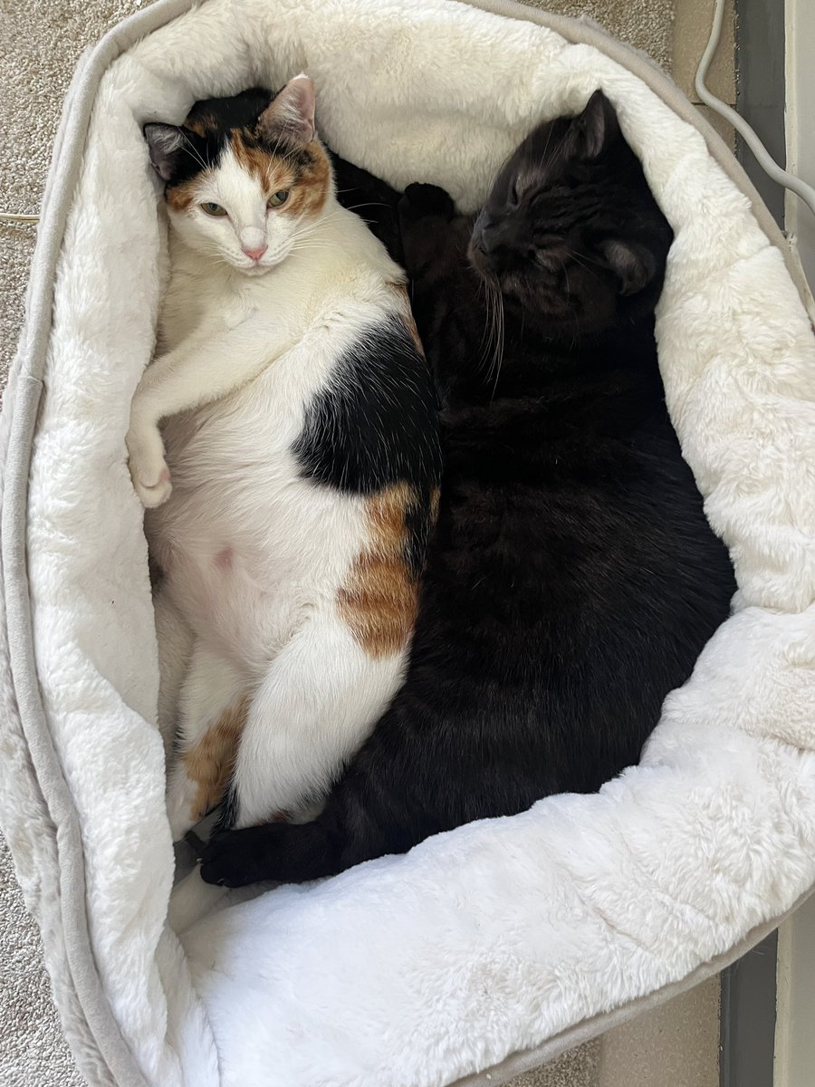 ถ้าน้องอ่านหนังสือออก น้องจะเสียใจนะคะ