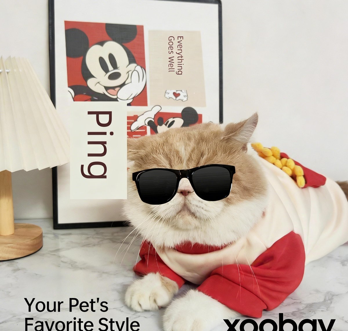 xoobay_OFFICIAL's tweet photo. Warm up your cat for autumn & winter! 🐾
Heattech traction cat clothes, great for German Hairless, Maine Coon, British Blue cats.
Shop on Xoobay :
👉 https://t.co/r52w5JD7aq
⚖️ Weight: 0.1KG💰 Sale: $3.95 
🚚 Shipping Fee: $0.00
#CatWinterClothes #PetHeattech #CatEssentials #XoobayPetsShop
