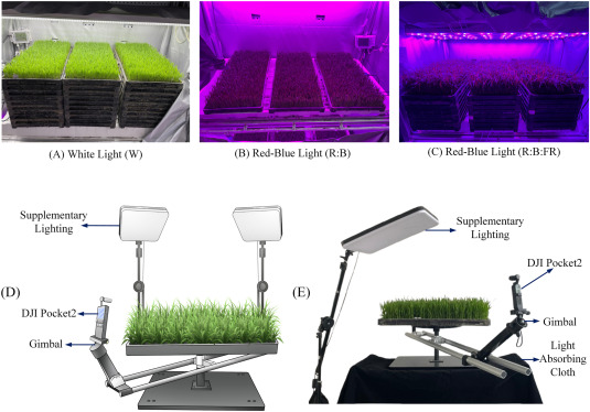 Plant Phenomics tweet media