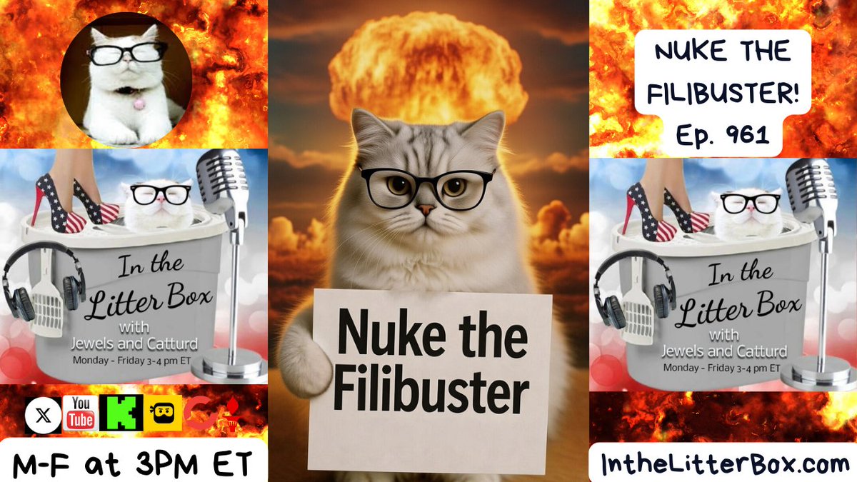 JewelsJonesLive's tweet image. 60 votes just to debate? Archaic nonsense.🐾😼 We’re talking about nuking the filibuster so the Senate actually gets work done. @JewelsJonesLive and @catturd2 are bringing the heat to the Litter Box! 🔥
Ep. 961 | Fri 1/30 @ 3PM ET
Watch: youtube.com/@JewelsJonesLi…