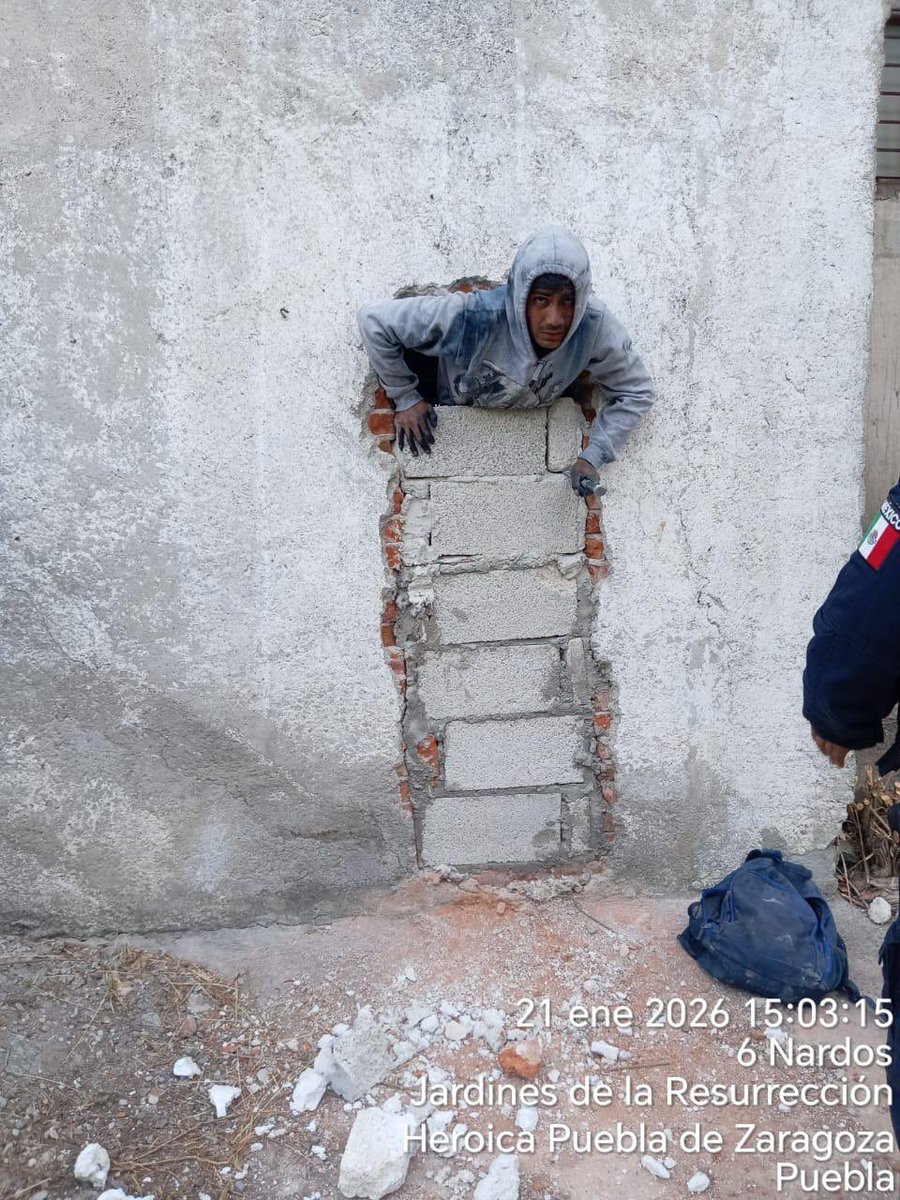 ALunaSilva's tweet photo. 🚨 Todavía no acaba enero y ya tenemos al ratero más pend3jo del año en #Puebla.

⚠️ Este caco se robó unos tubos de una fábrica-bodega en Jardines de la Resurrección y al intentar escapar por un agujero en la pared, quedó atorado.

📣 Ahí estuvo la 🐀 6 horas hasta que llegaron los dueños, llamaron a la policía y lo detuvieron.

🎯 Por cierto: los tubos que se quería transar no valen más de 3 mil pesos.

@Pueblaonline 
@CronicaPuebla_